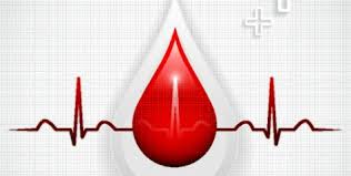 DOAÇÃO DE SANGUE